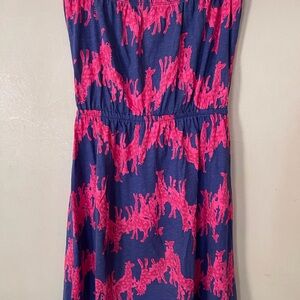 Lilly Pulitzer Pink and Blue Patterned Skirt